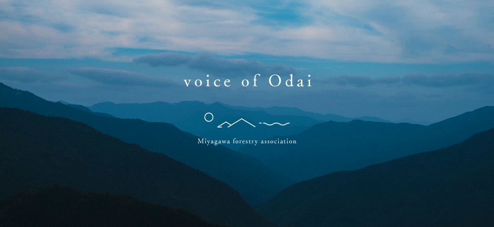 voice of Odai